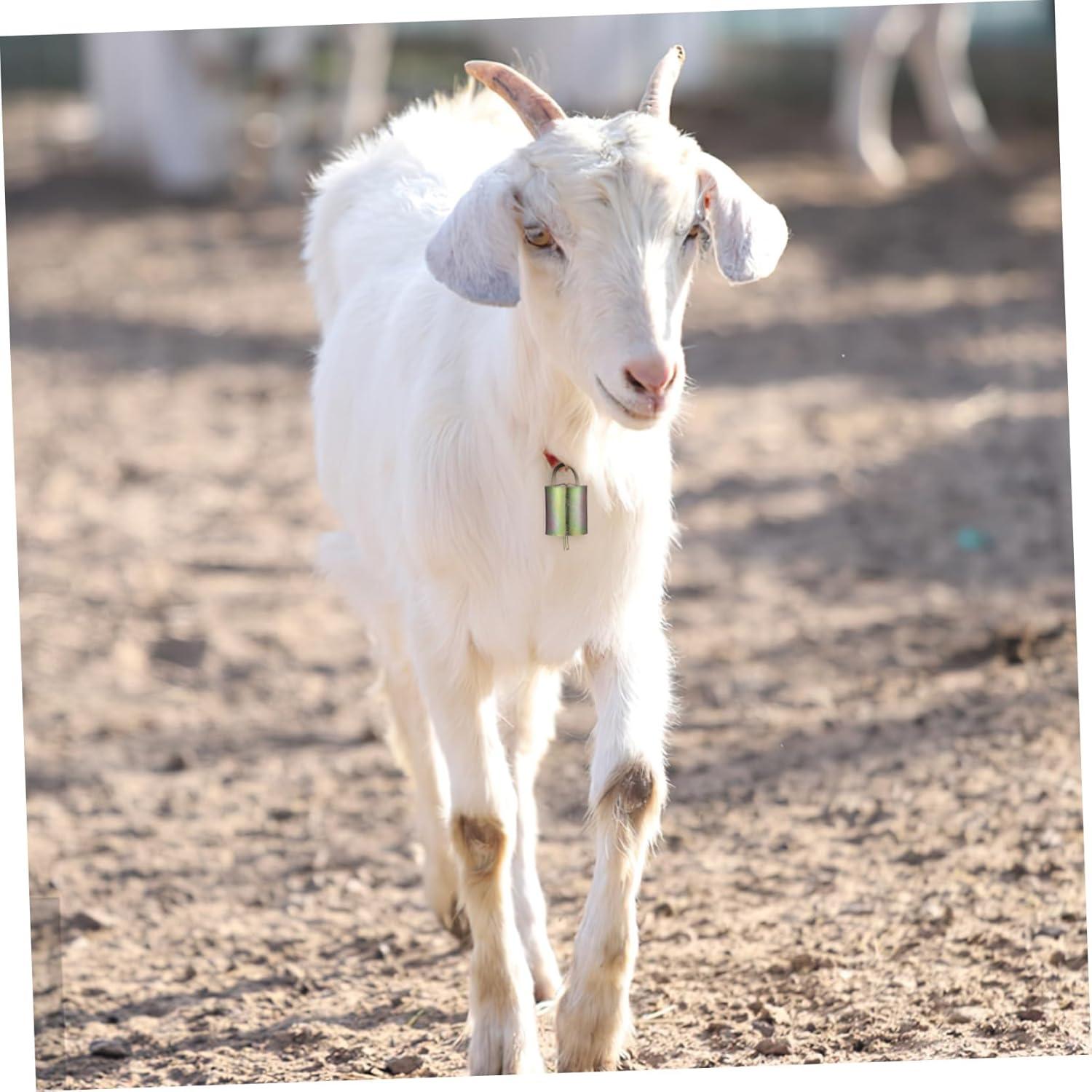 Ringing Praises: Our Review of 8pcs Copper Farm Bells