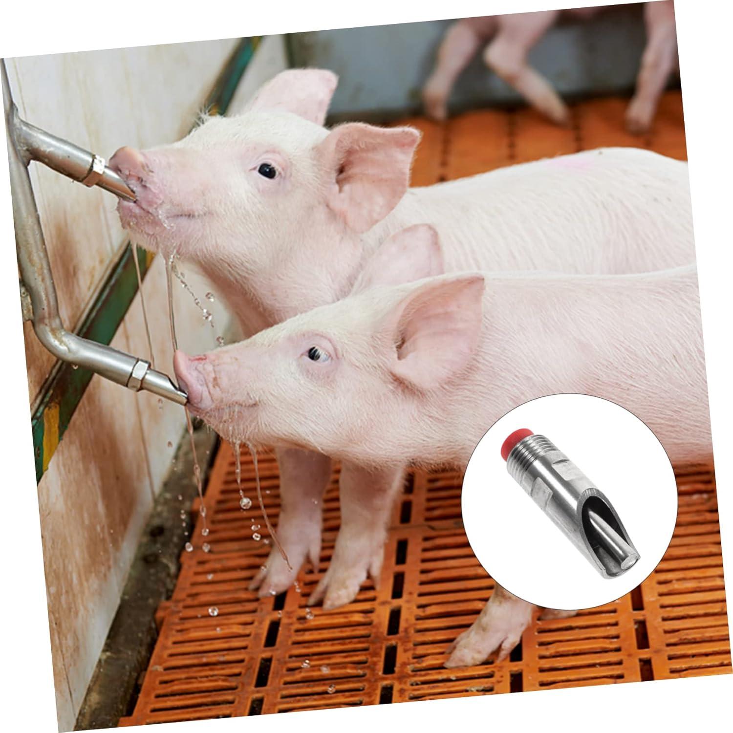Our Review of the Smart Pig Waterer System: Efficiency for Your Farm