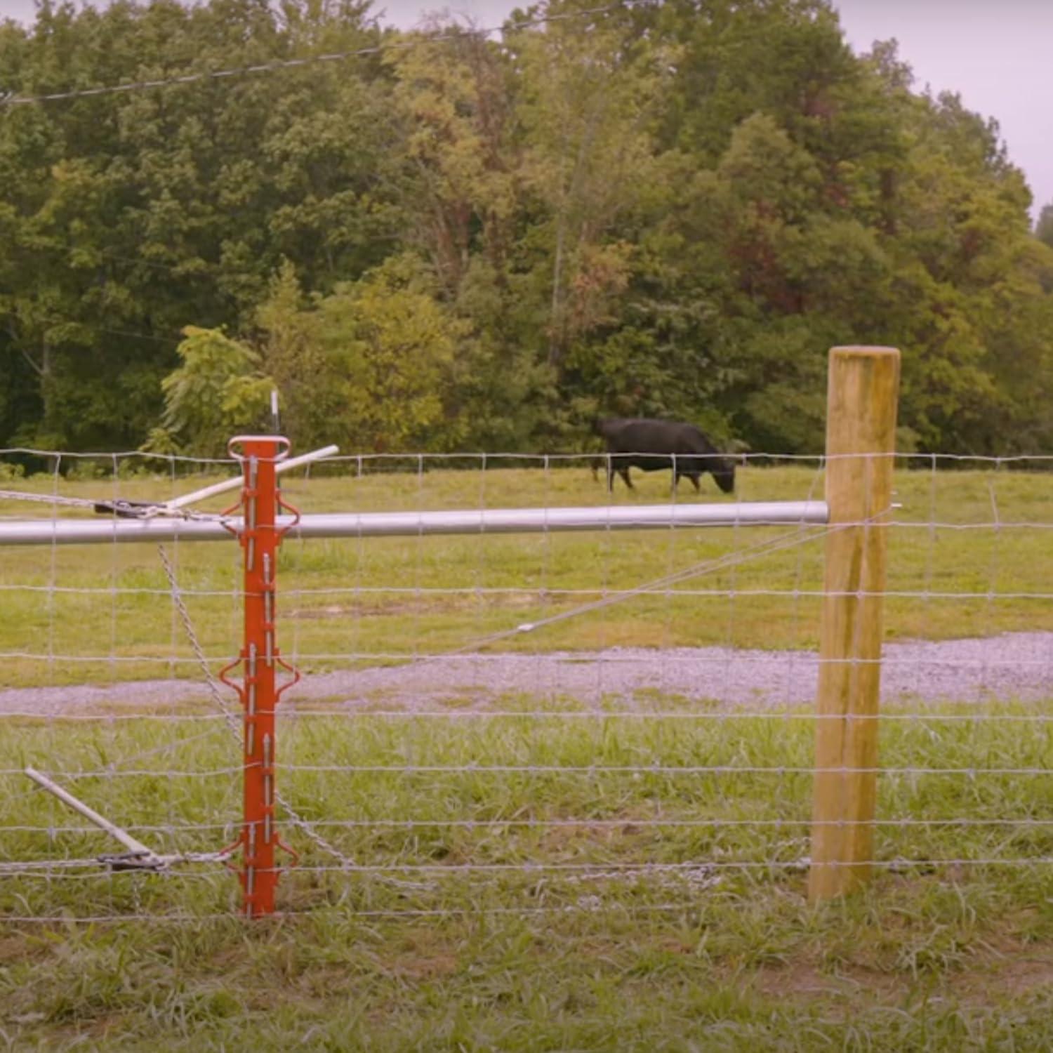 Our Review: 4ft Carbon ‍Steel Farm Fence ⁢Stretcher bar