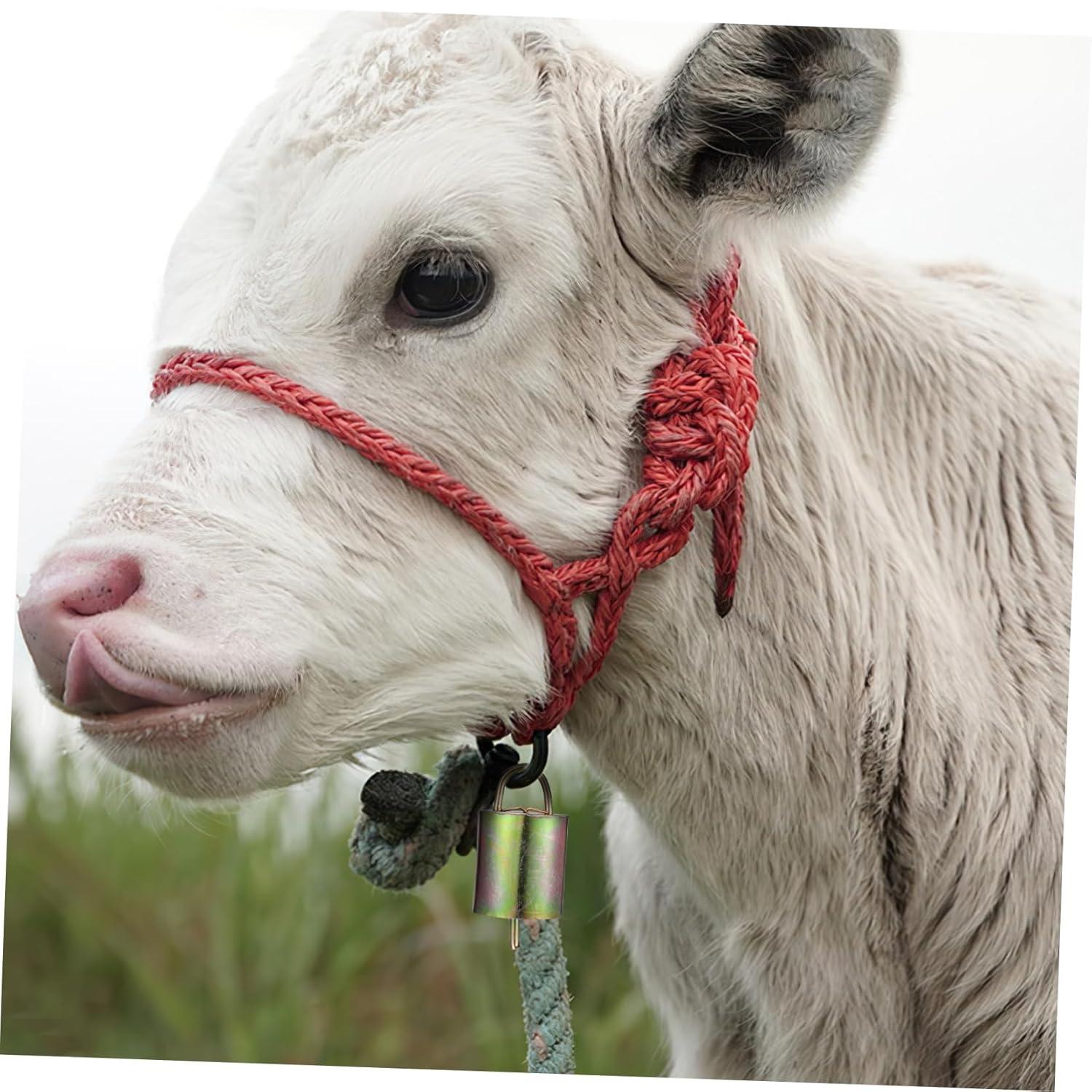 Ringing Praises: Our Review of 8pcs Copper Farm Bells