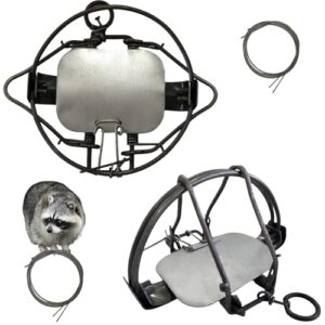 Effective and Reusable: Review of the 2 Pack Humane Animal Trap