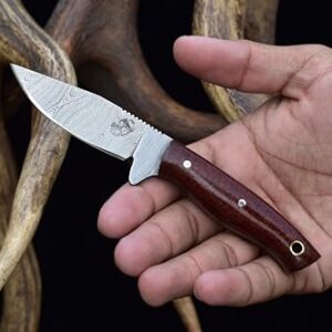 Reviewing the Knives Ranch Little Scout: A Damascus Delight!