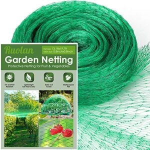Protect Your Garden: Review of Ruolan Bird Netting Magic