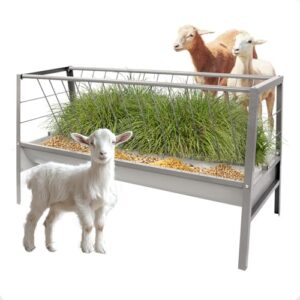Reviewing the Gelacie 2-in-1 Hay Feeder: Versatile Livestock Care