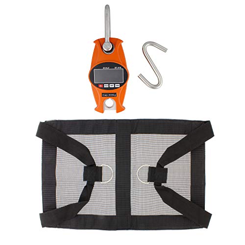 Rural365 Calf Scale Review: Accurate Weighing for Livestock - Image 4