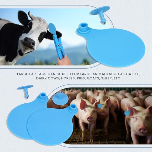Efficient Animal ID: KHEARPSL Large Cattle Ear Tags Review - Image 7
