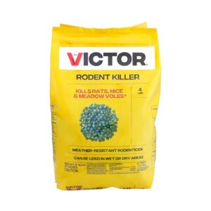 Effective Rodent Control: Victor M925 Poison Review & Insights