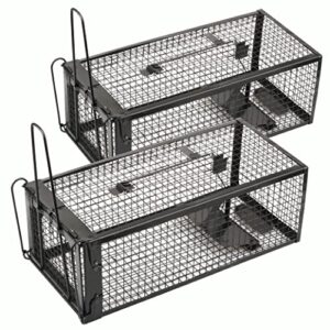 Humane Pest Control: Reviewing Anyhall's Live Mouse Traps